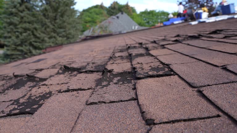 Best Chimney Flashing Repair  in Baxter, MN