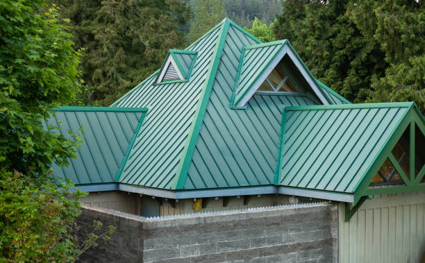 Best Roof Ventilation Installation  in Baxter, MN