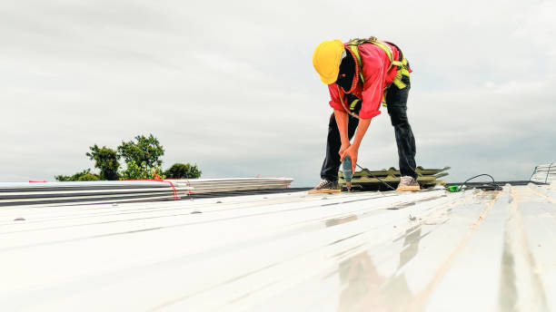 Best Metal Roofing Installation  in Baxter, MN