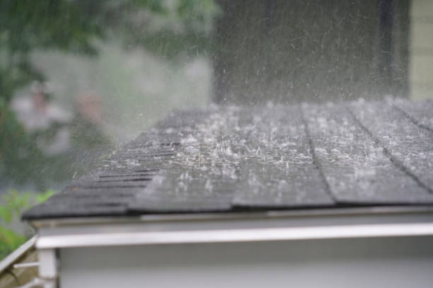 Best Asphalt Shingle Roofing  in Baxter, MN