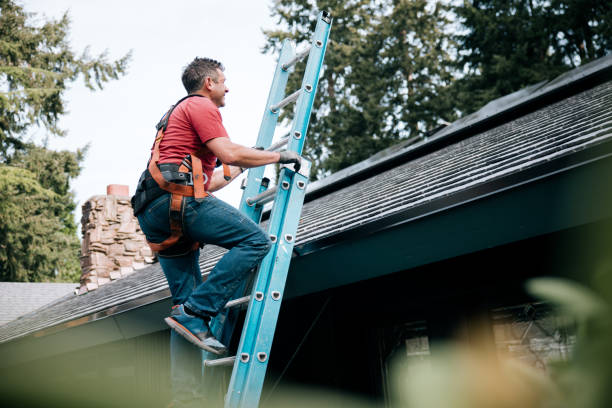 Best Asphalt Shingles Roofing  in Baxter, MN