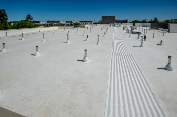 Best Cold Roofs  in Baxter, MN